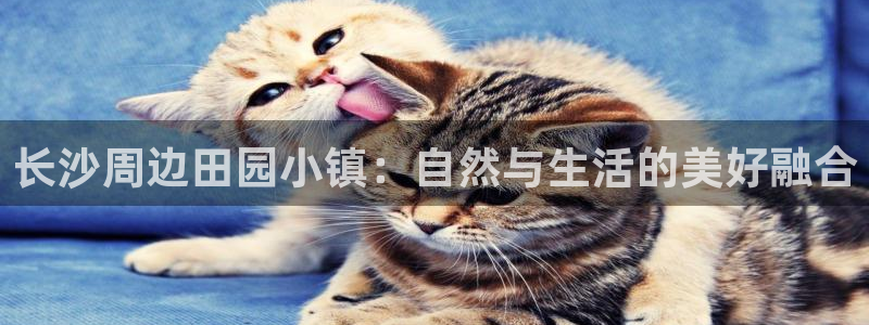 天辰娱乐 天辰平台