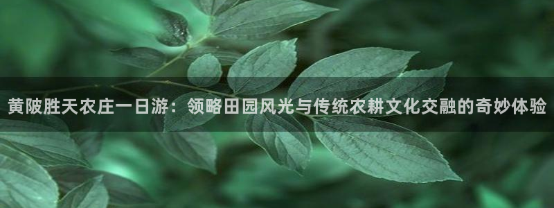 天辰娱乐元宝