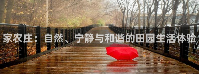 天辰娱乐481928