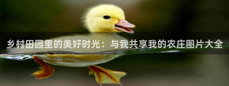 天辰娱乐白屏
