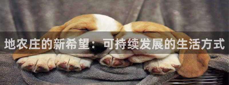 天辰娱乐新闻