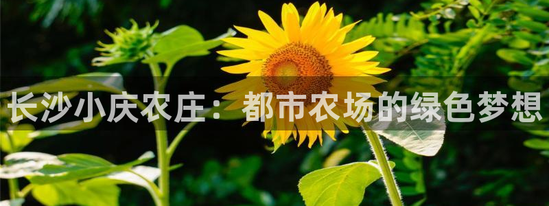 天辰娱乐指定