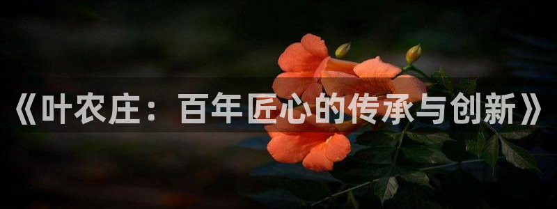 天辰娱乐51137