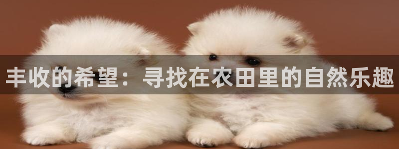 腾讯天辰娱乐