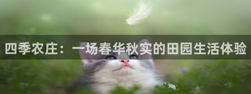 天辰娱乐解封
