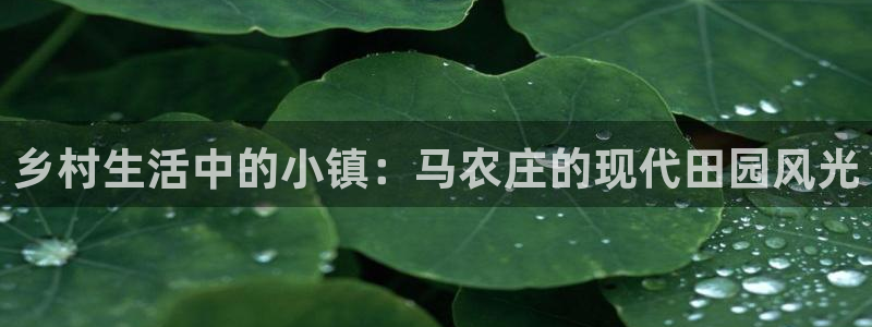 天辰娱乐国际