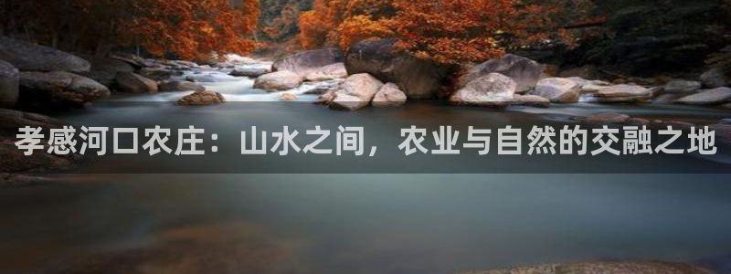 天辰娱乐1966