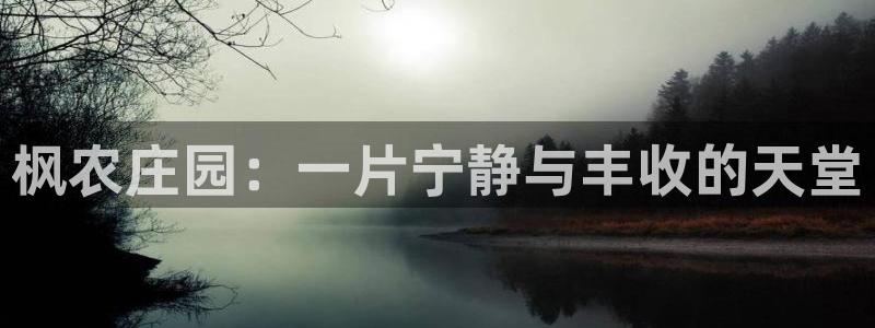 天辰娱乐 849852