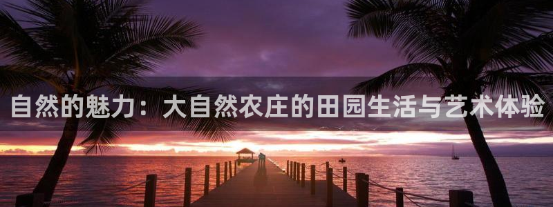 天辰娱乐入口