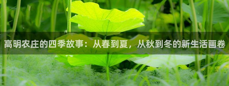 天辰娱乐 849852