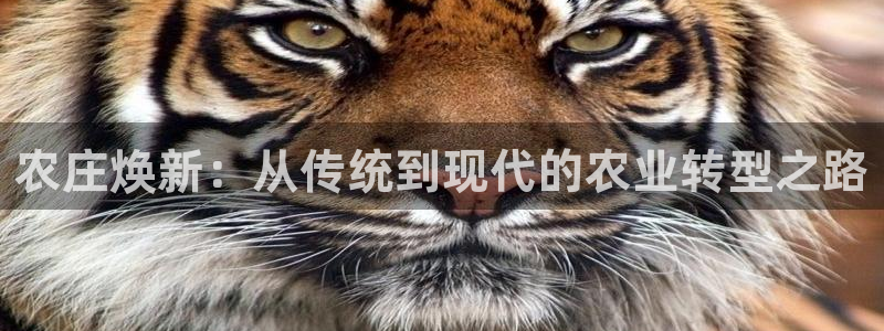 天辰娱乐测试