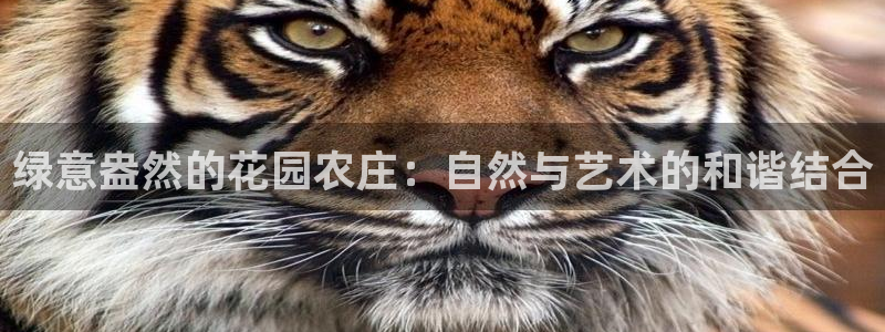 天辰2娱乐