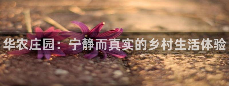 天辰天富娱乐