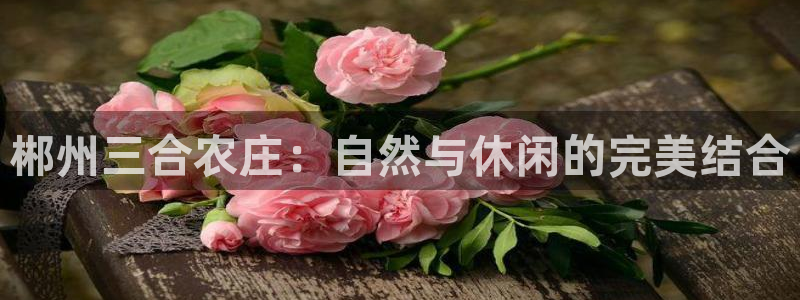 天辰娱乐 18113