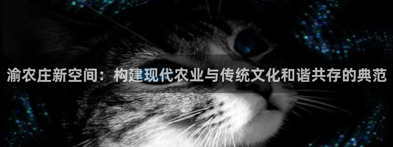 天辰娱乐app