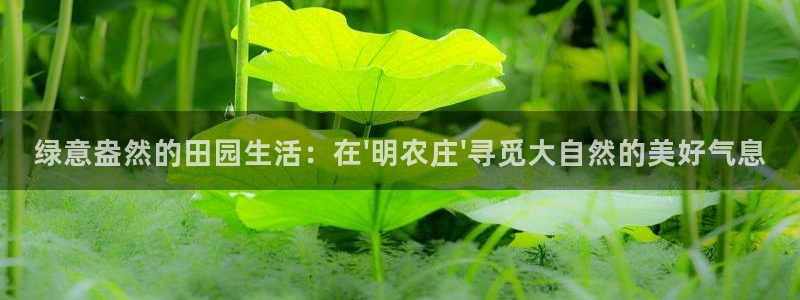 天辰娱乐 849852