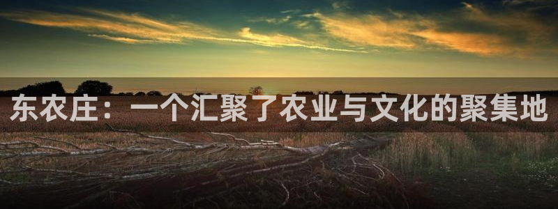 天辰娱乐官网平台入口