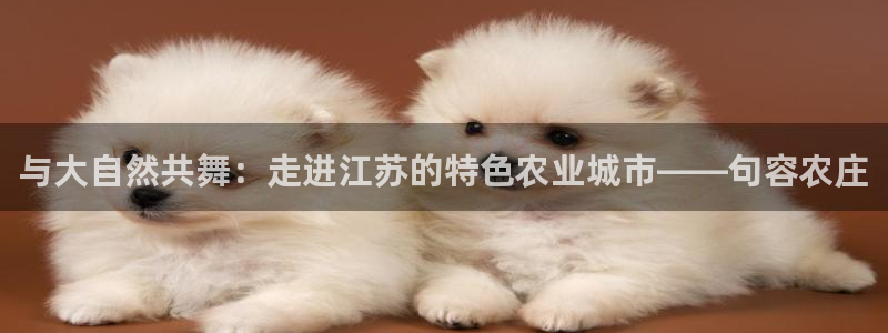 天辰娱乐主页