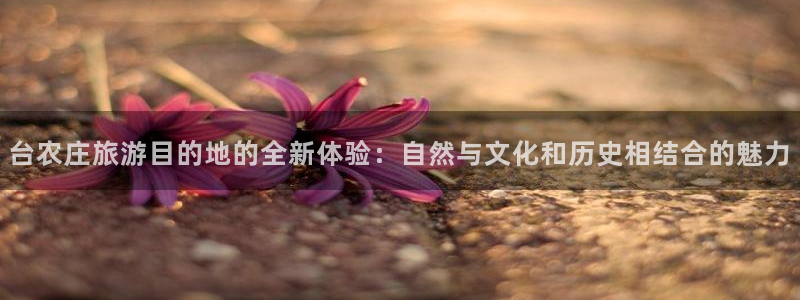 天辰娱乐61116