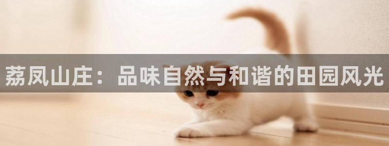 天辰娱乐连接