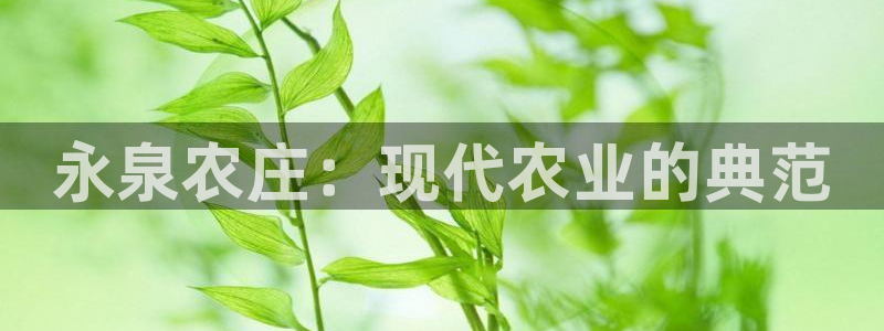 天辰娱乐代理