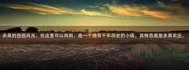 天辰娱乐481928