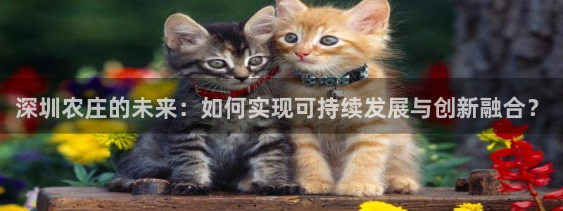 天辰辰娱乐代理