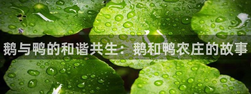 天辰天富娱乐