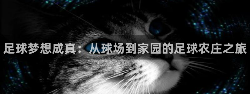 天辰娱乐彩票