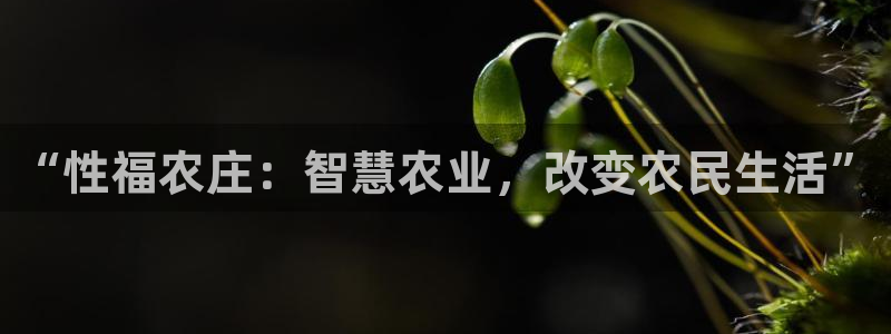 天辰娱乐