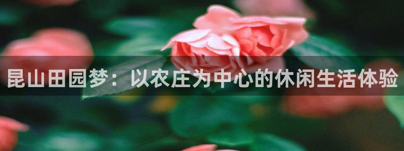 天辰娱乐黑人