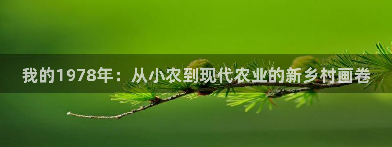 天辰娱乐app
