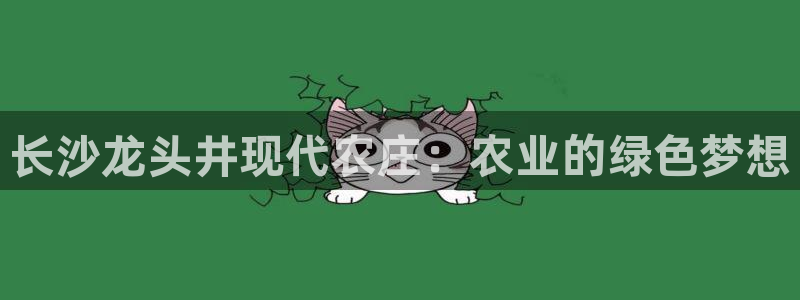 天辰娱乐主页