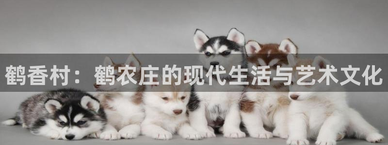 天辰娱乐 849852