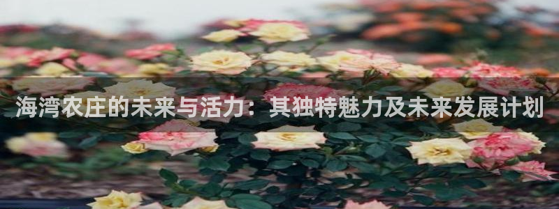 天辰娱乐厕所