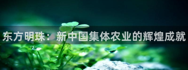 天辰娱乐481928