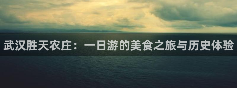 天辰娱乐简介