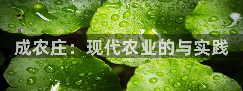 天辰a娱乐