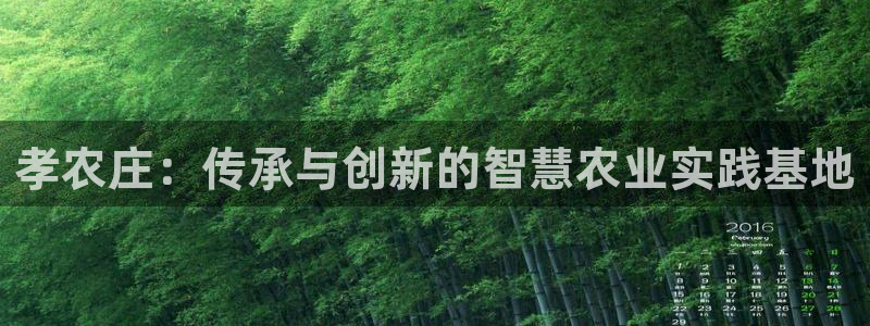 天辰娱乐彩票