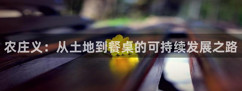 天辰娱乐维护