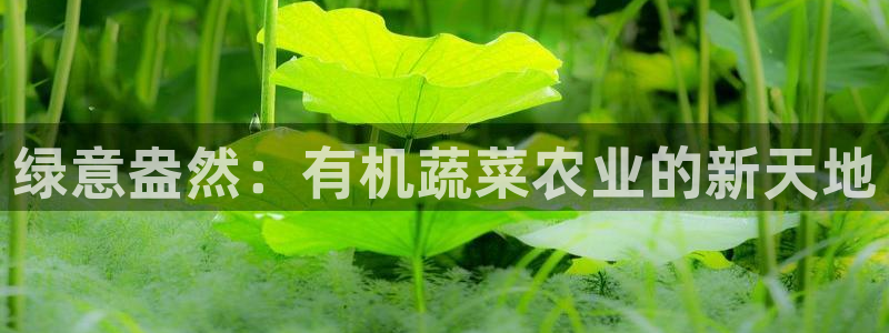 天辰娱乐会员