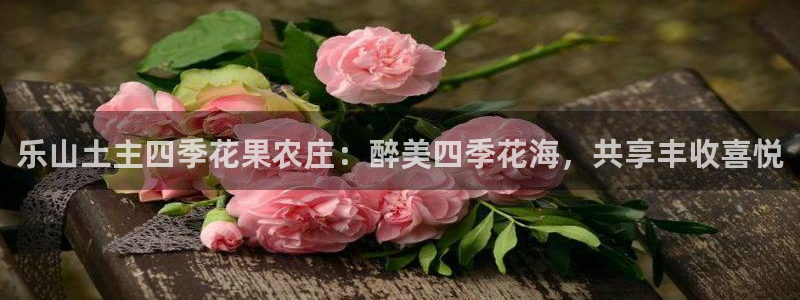 天辰娱乐老板