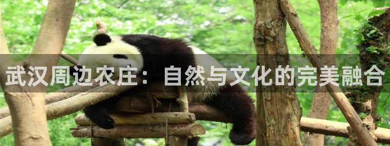 哈尔滨天辰娱乐
