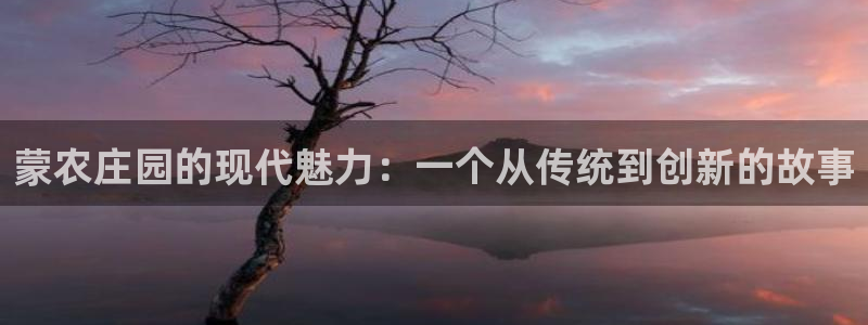天辰娱乐-18113
