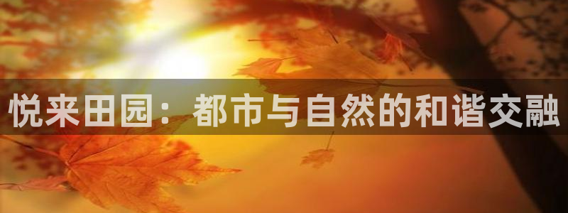 天辰娱乐公司