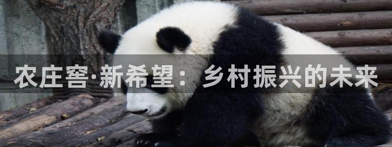 天辰娱乐平台娱乐注册