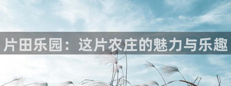 天辰娱乐登陆平台