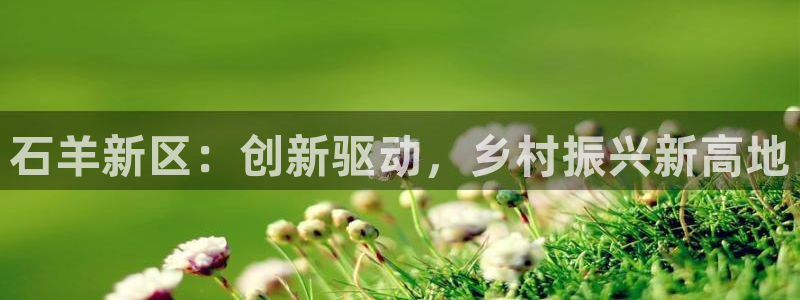 天辰娱乐官