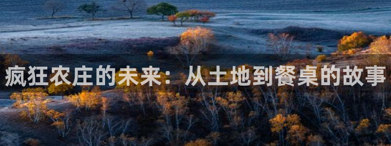 天辰娱乐平台安全吗