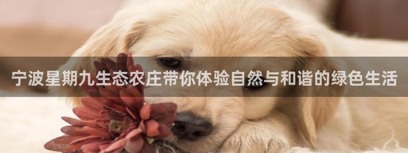天辰娱乐彩票
